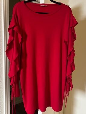 Zara Long Sleeve Red Dress